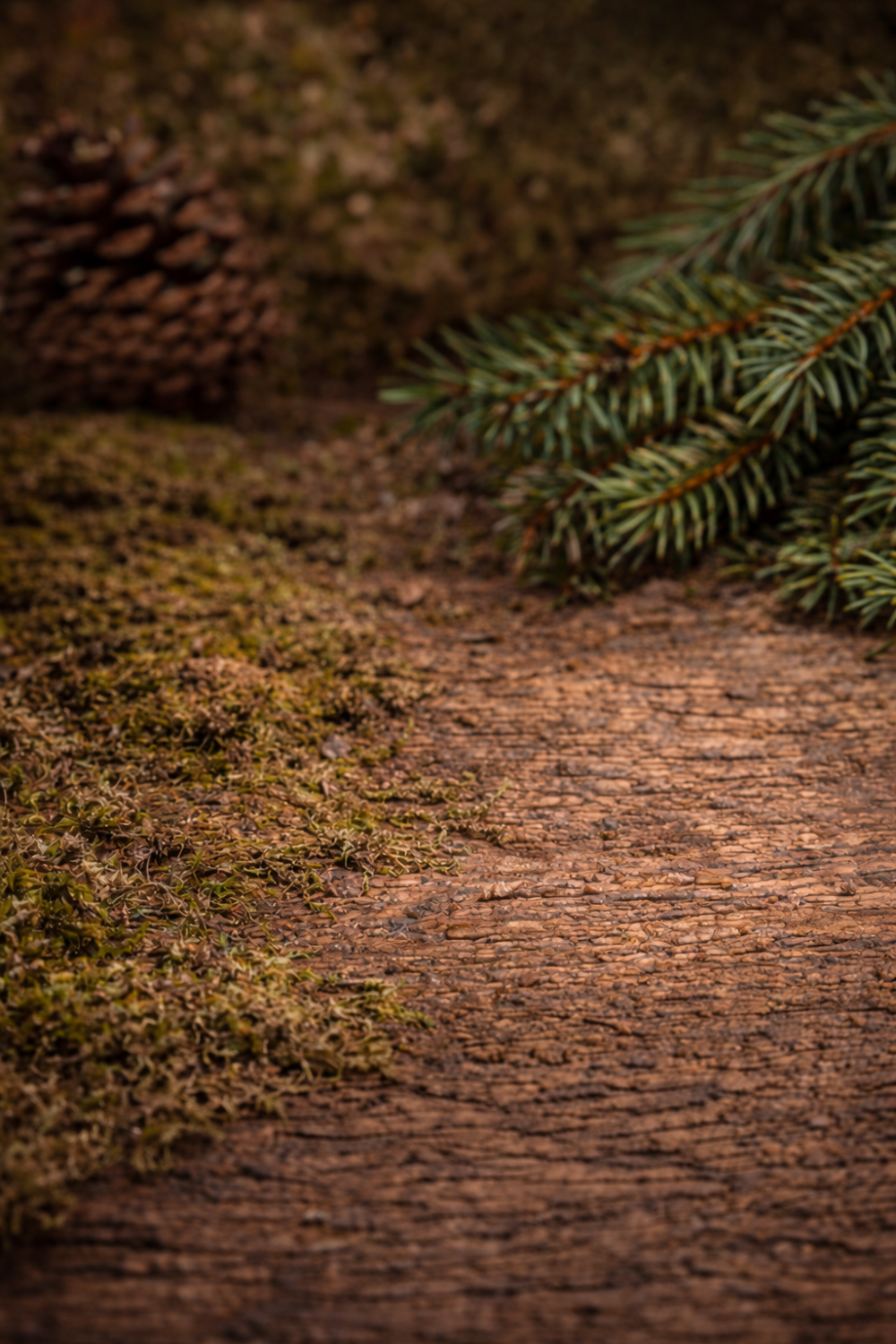 Fraser Fir Incense Fresh Pine Forest Home Fragrance