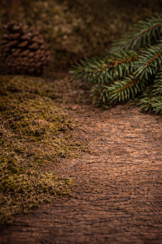 Fraser Fir Incense Fresh Pine Forest Home Fragrance